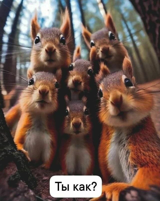 .