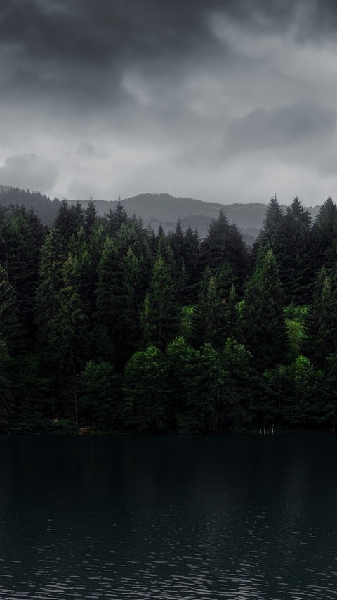 tapety mist, larch