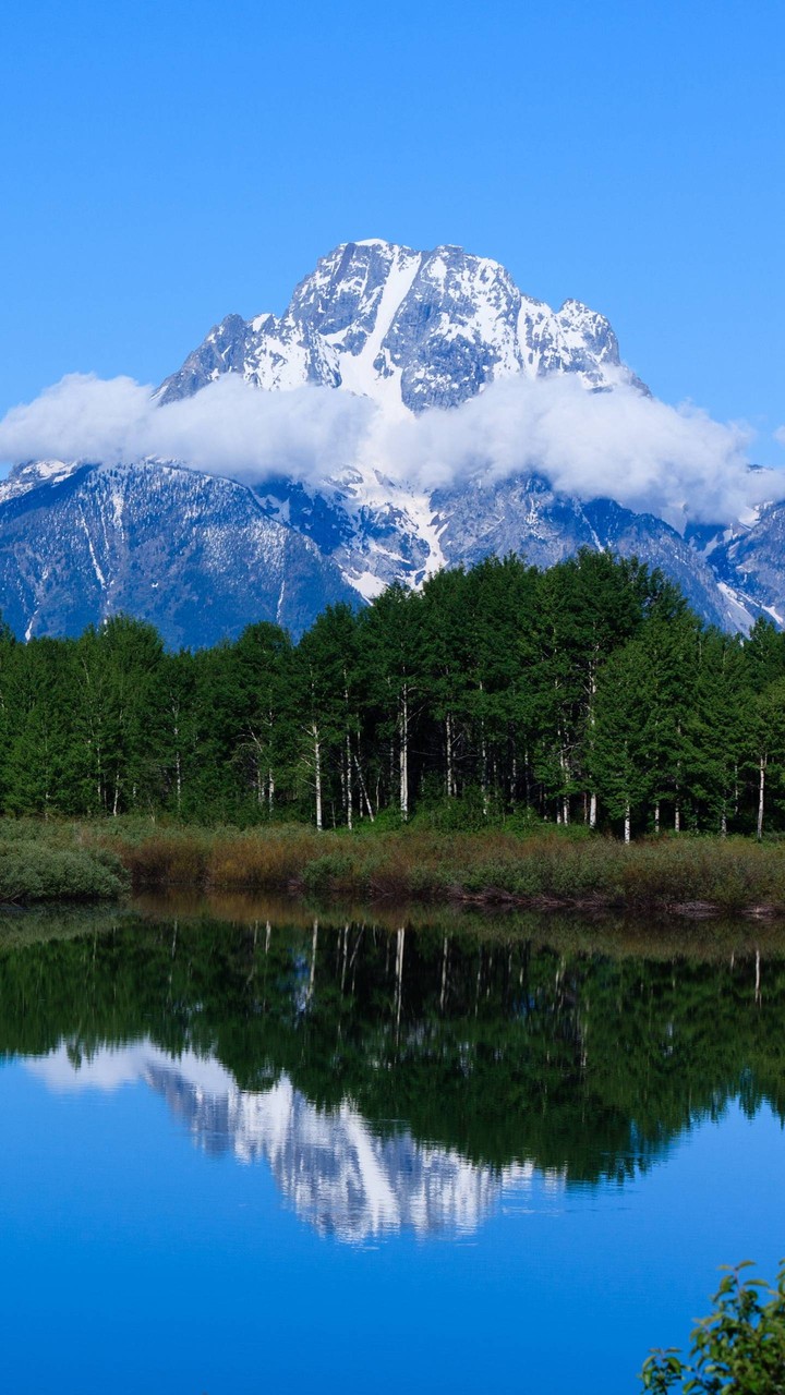 Forest~Mountain~Lake