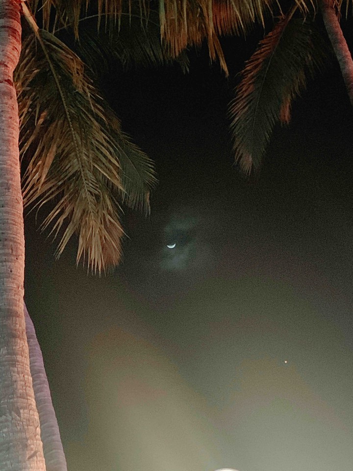 Moon