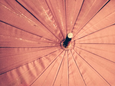 umbrella