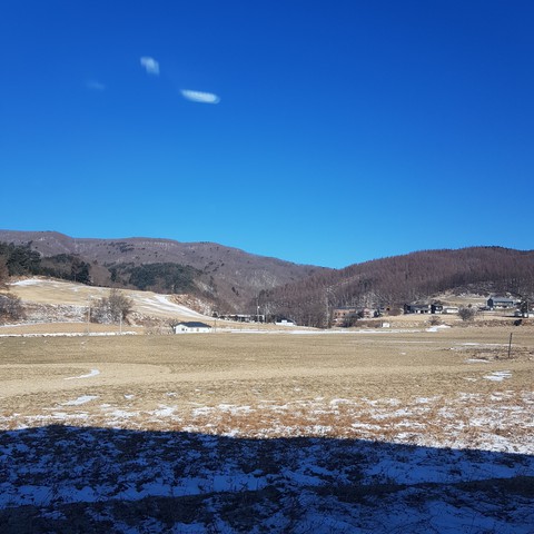 겨울