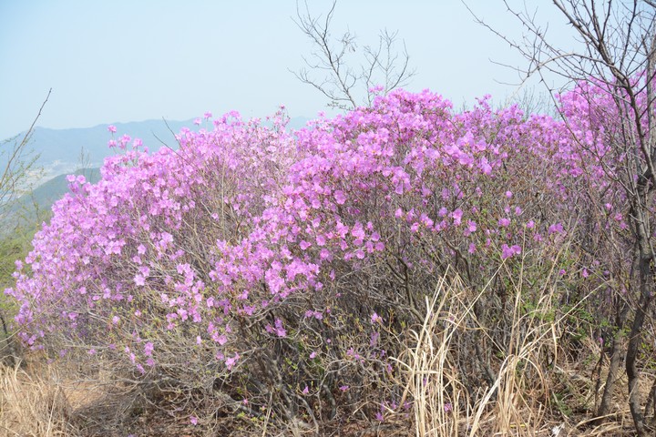 풍경이미지