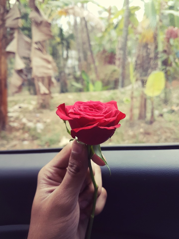 ⚘