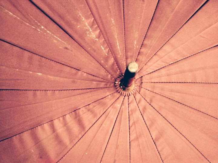 umbrella