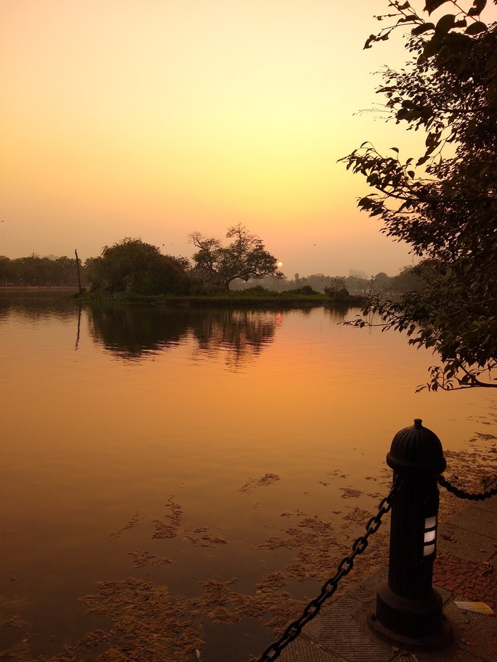 The sunset