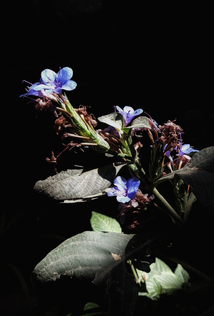 Let glow even in darkness.