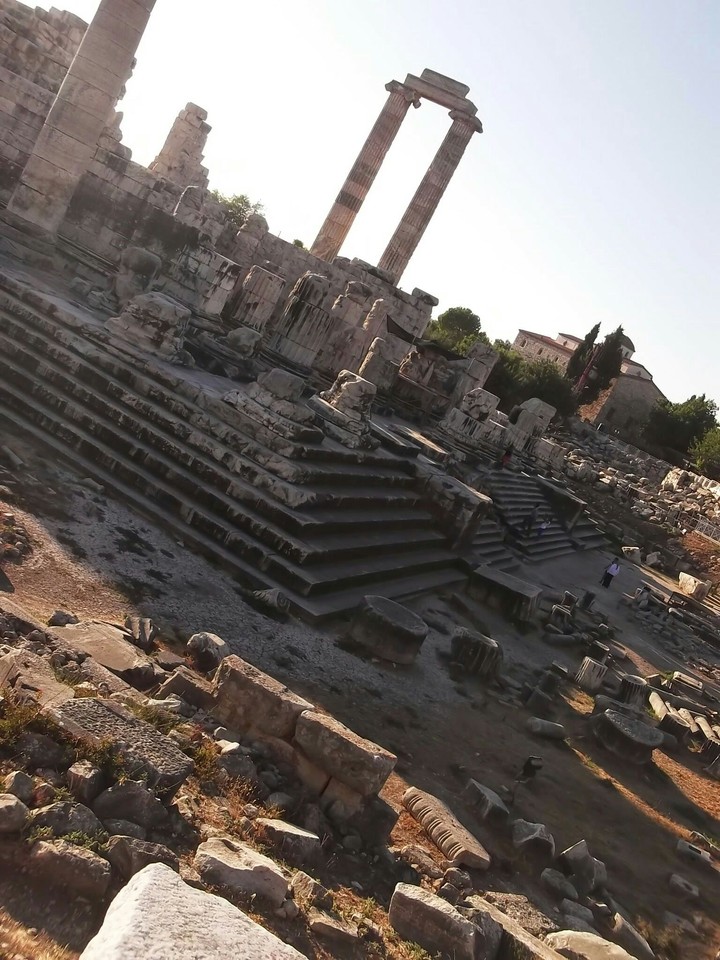 didyma
