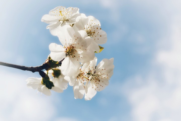 Spring!