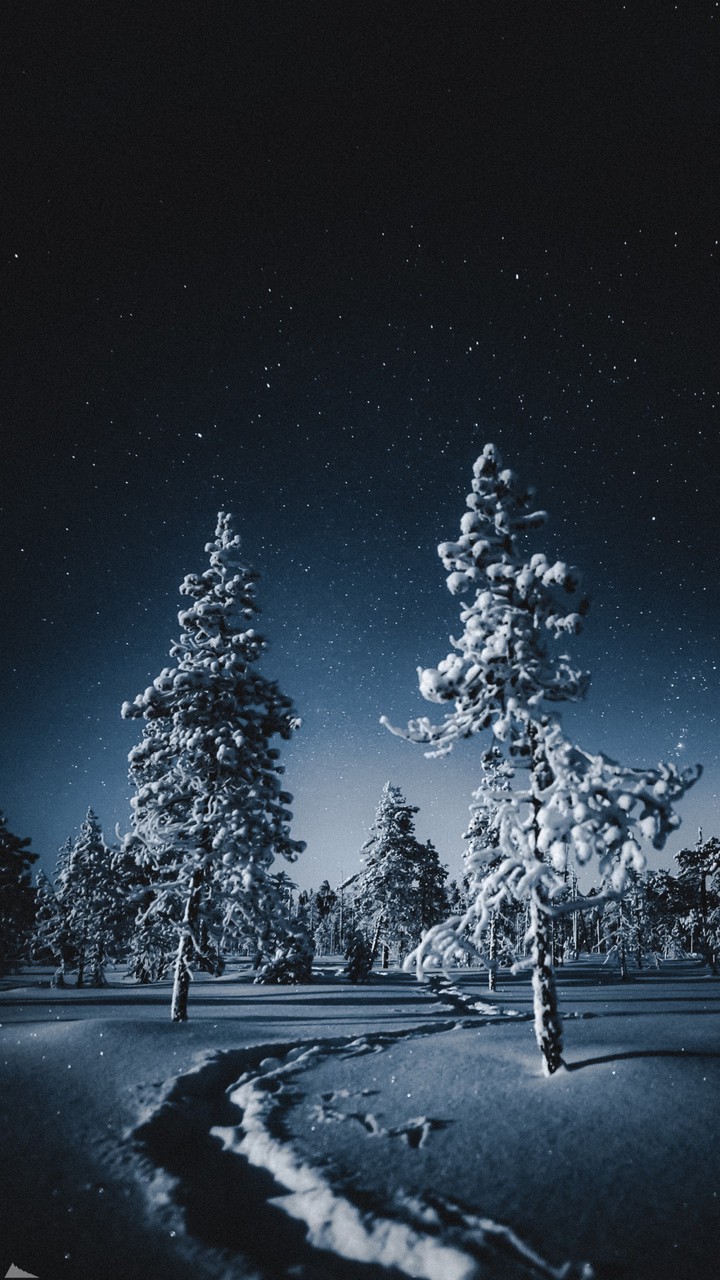 Snow at night