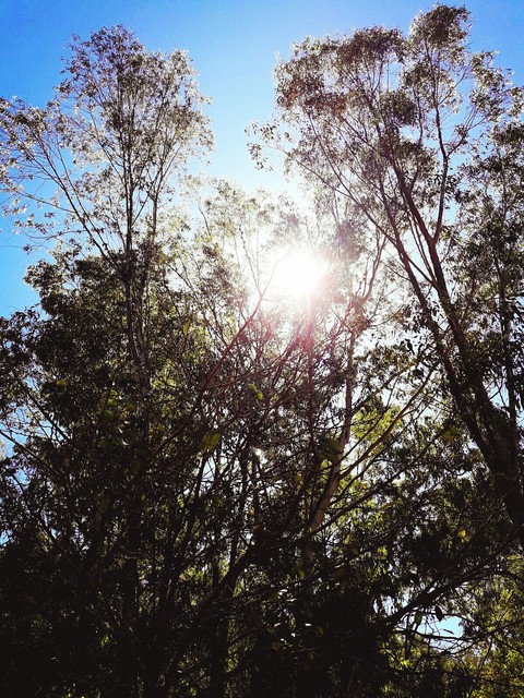 #céu#sbs