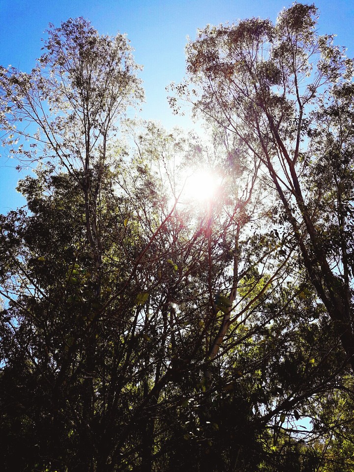 #céu#sbs