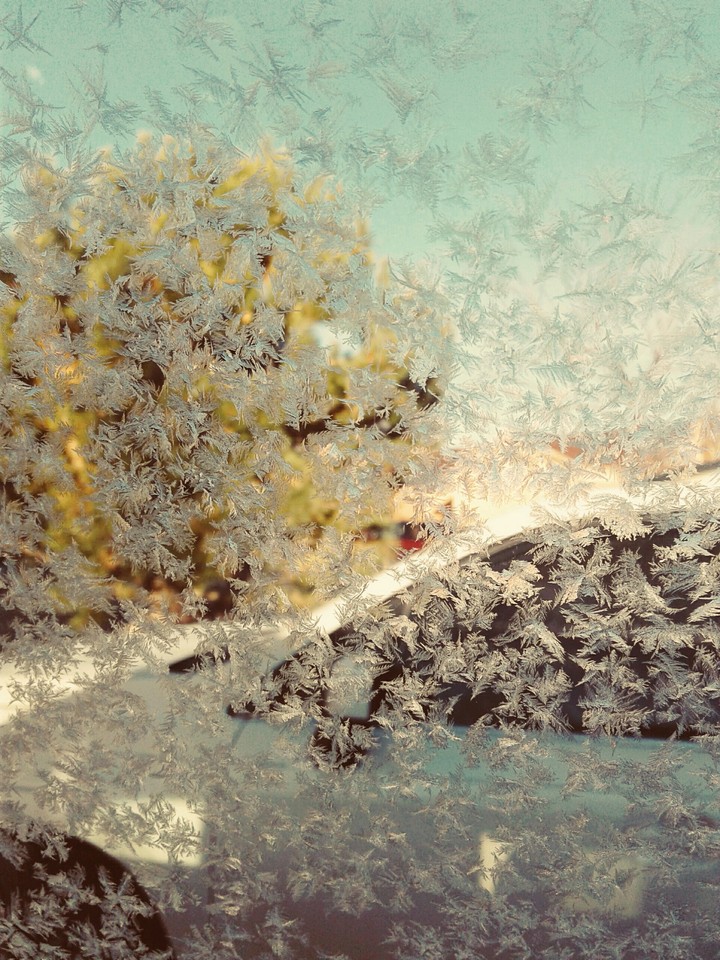 ice flakes