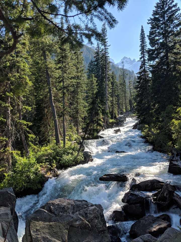 Yellowstone