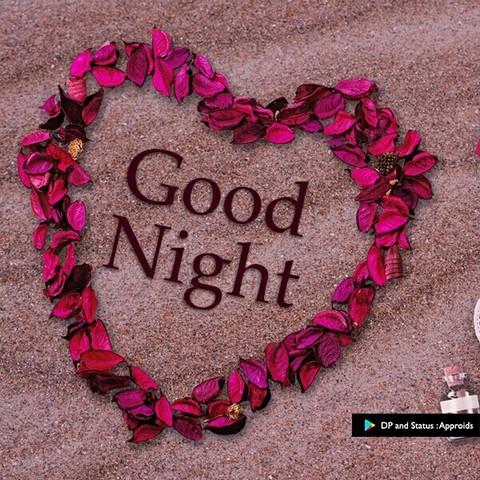 good night