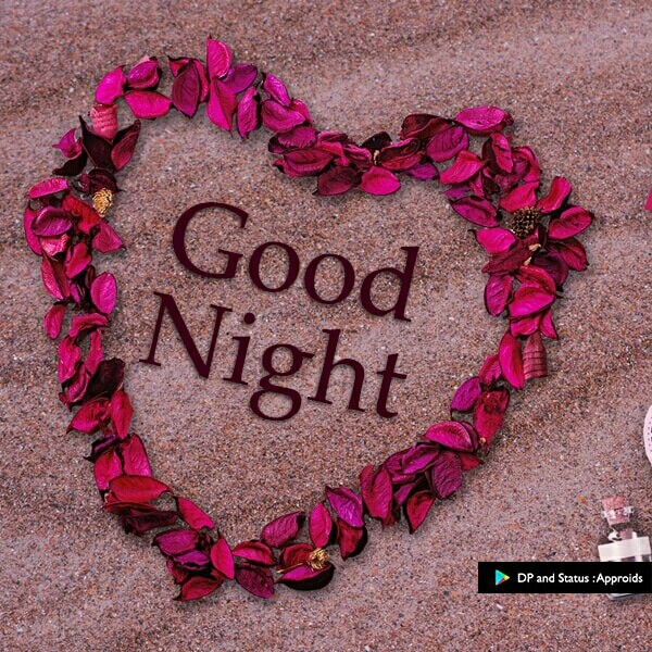 good night