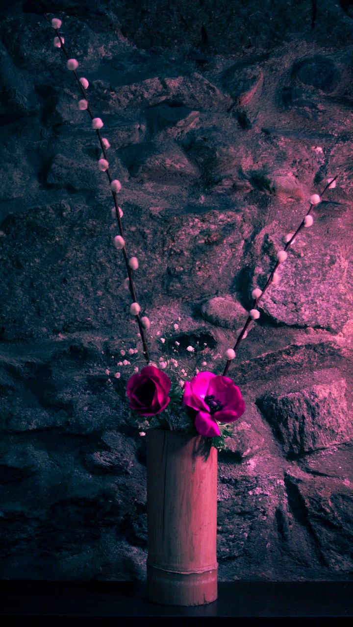 Wallpaper Of The Day ❤️