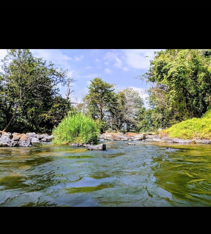 nature