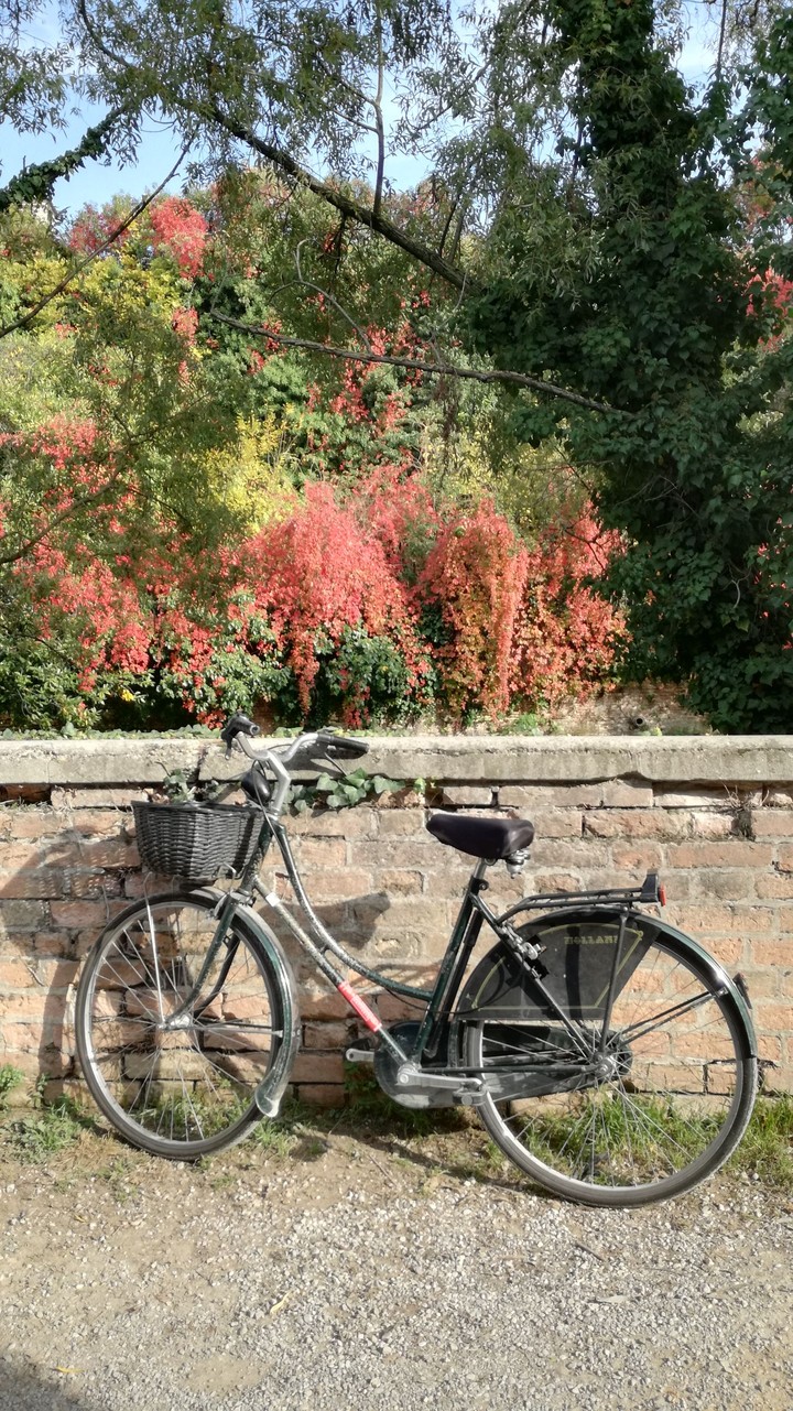 bike&thecity
