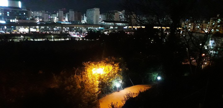 night view