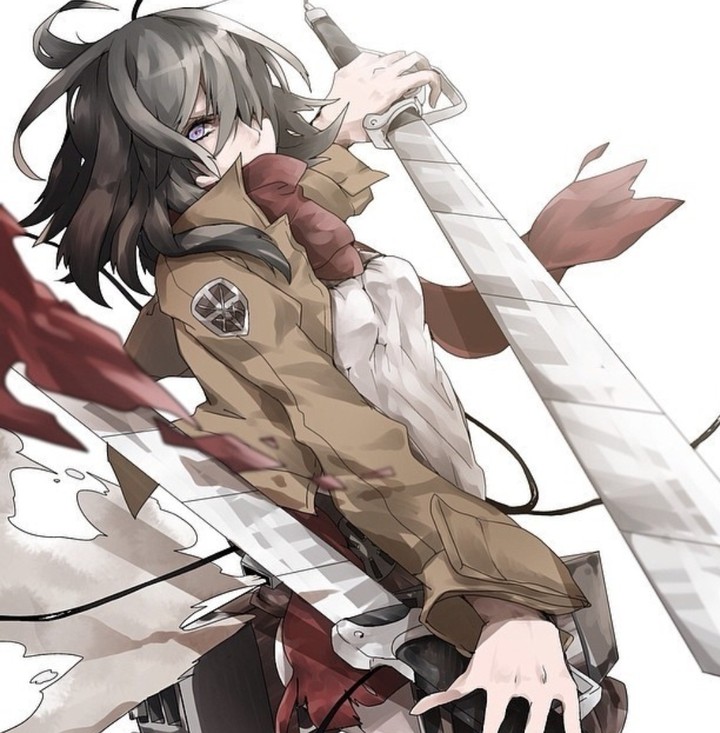 ATTACK ON TITAN
