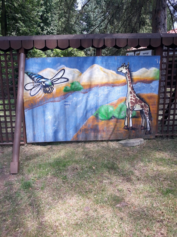 this beautiful image is on the ślonsk