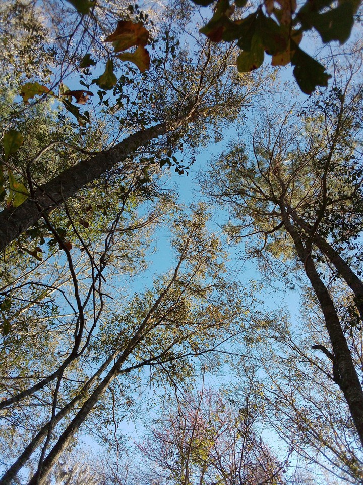 Keep Looking Up