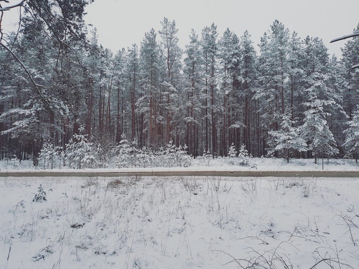 winter