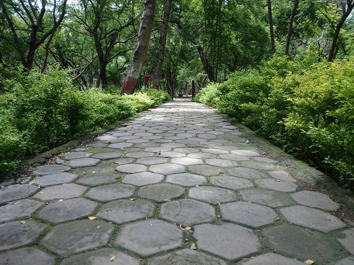 Path of happiness