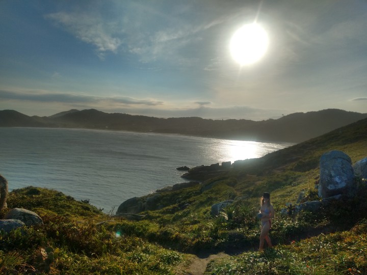 rosa norte