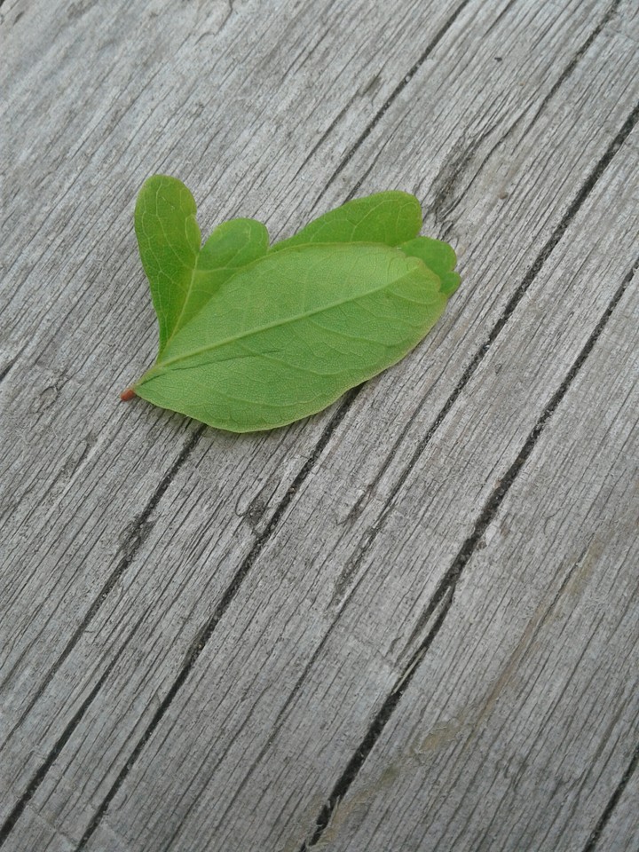 Green heart