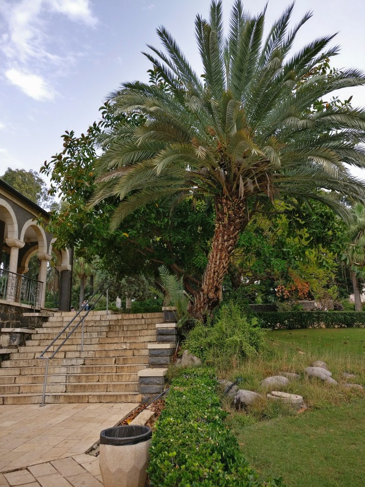 israel