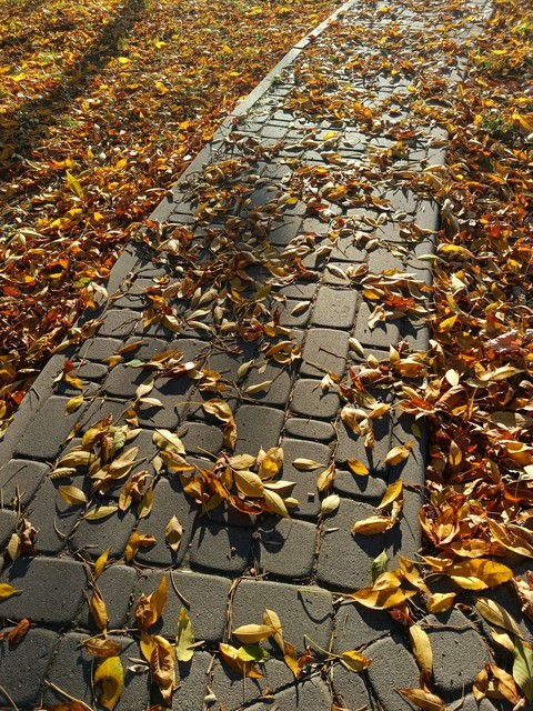 Осінь