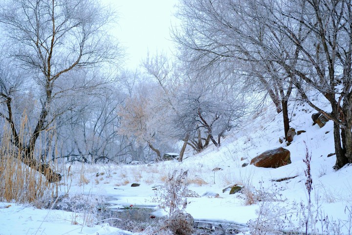 Winter hollow