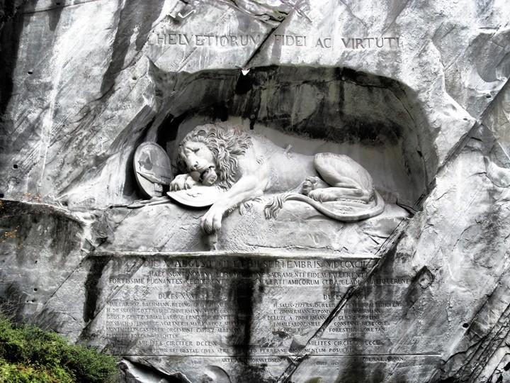 Fallen Lion