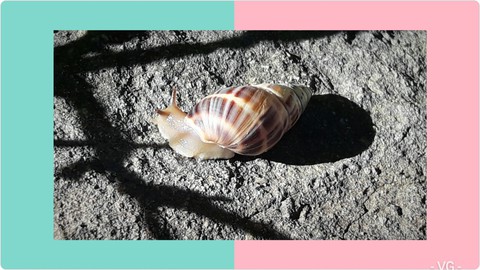 Caracol