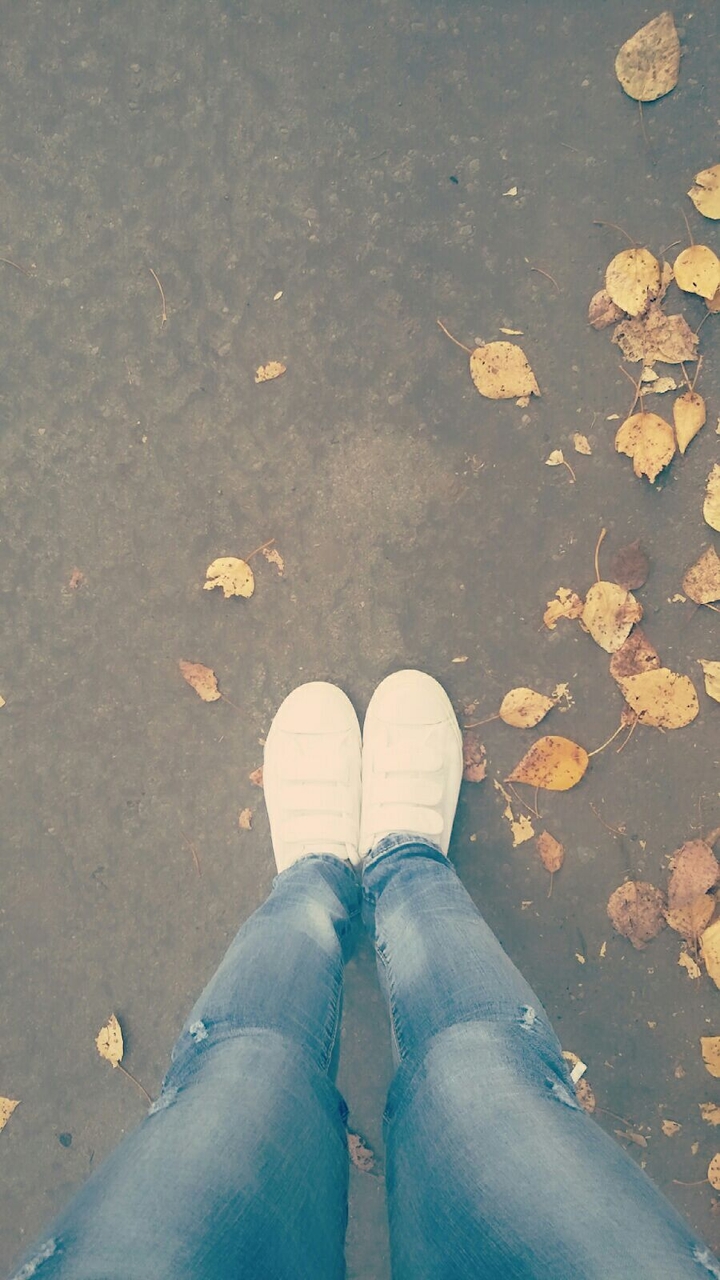 Autumn