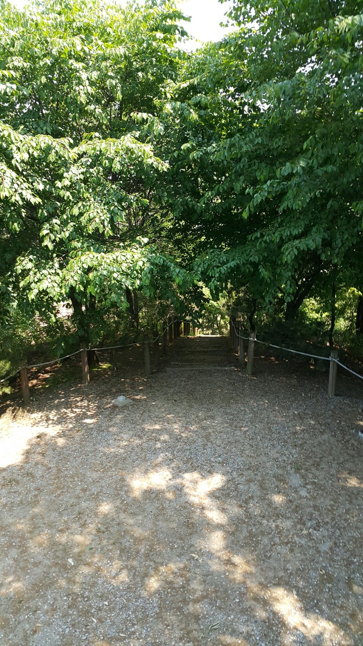 Park in the Neri