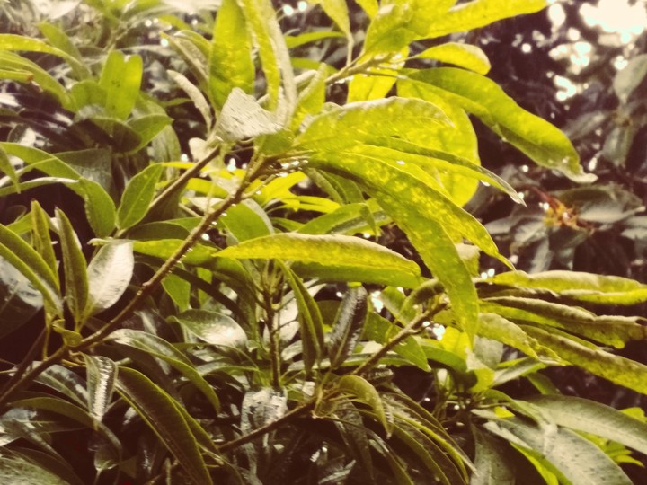 raining