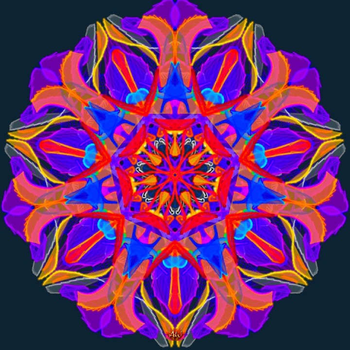 Flower Mandala