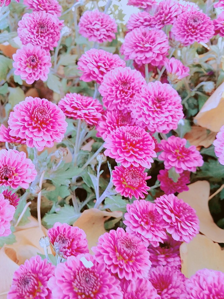 아름다워~~