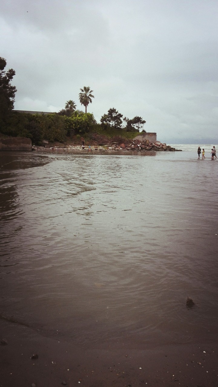 north