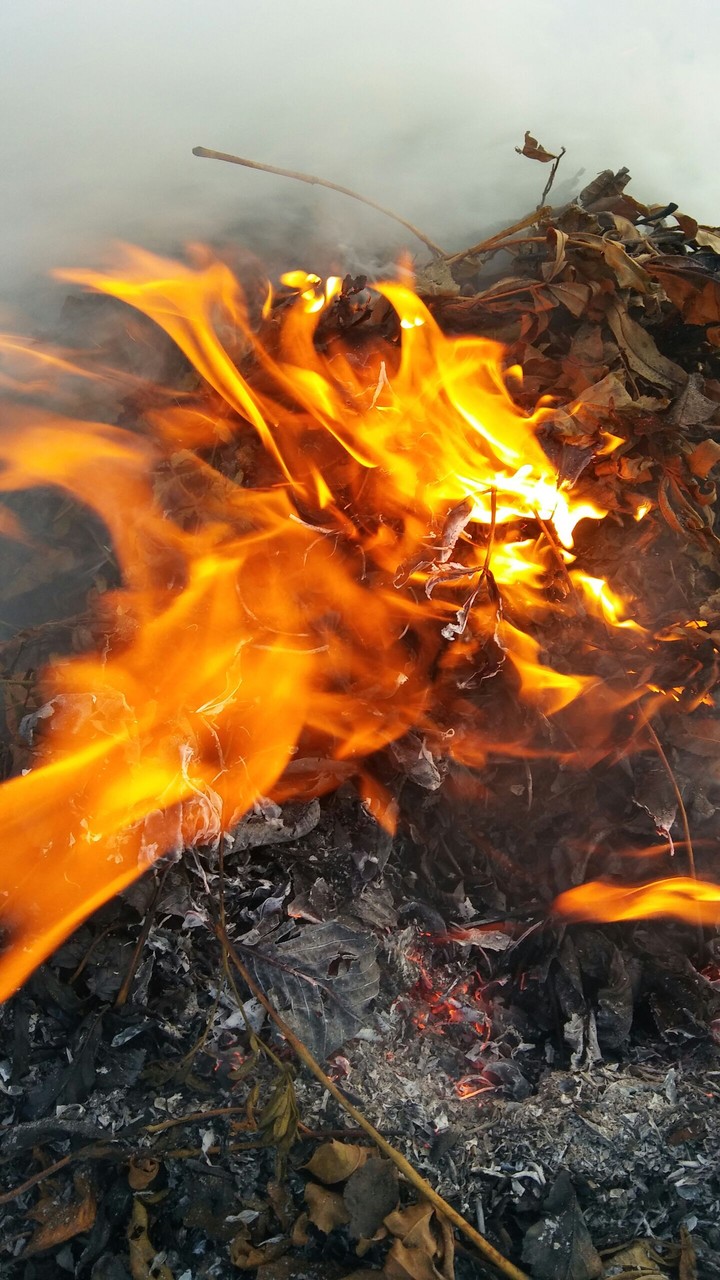 Fire is die