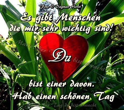 Guten Morgen