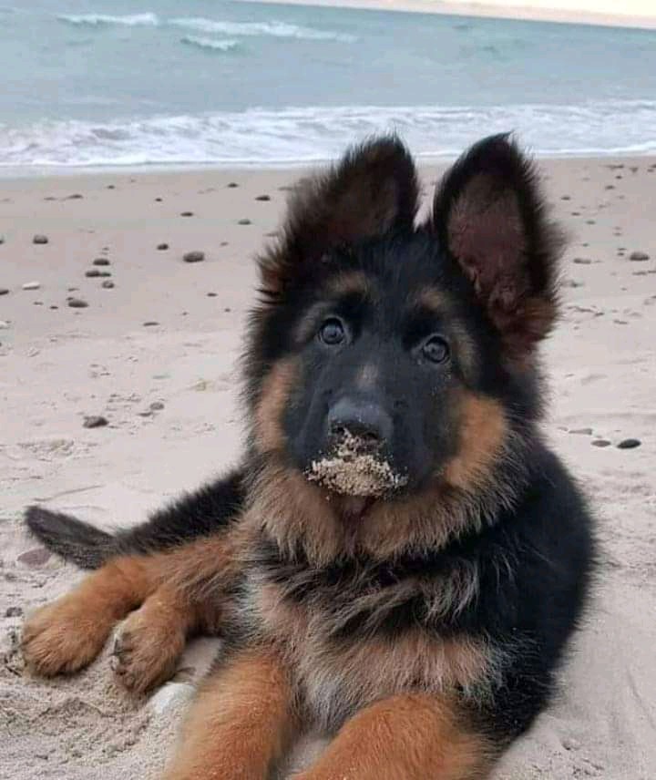 Baby ?