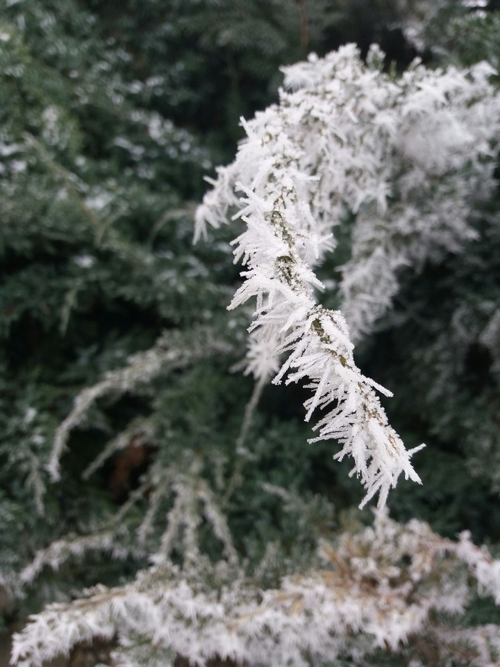 Snow