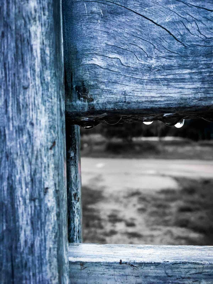 wood and water