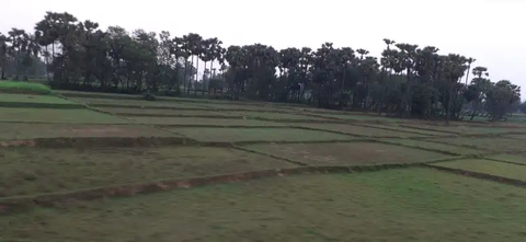 plain land