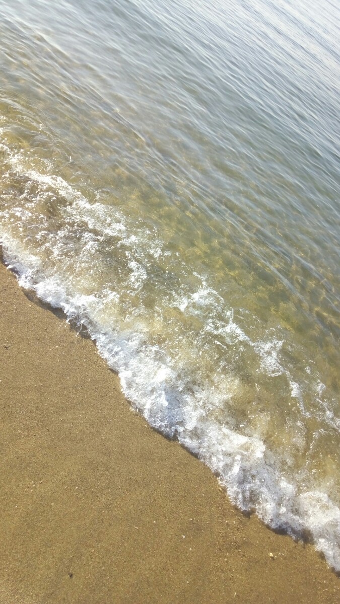 海