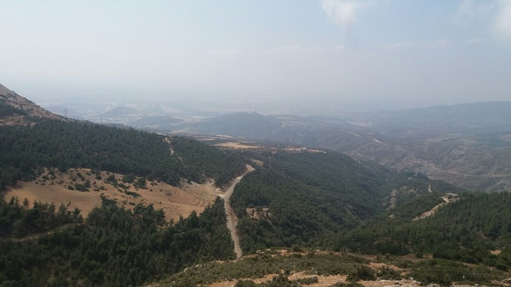 Dağ